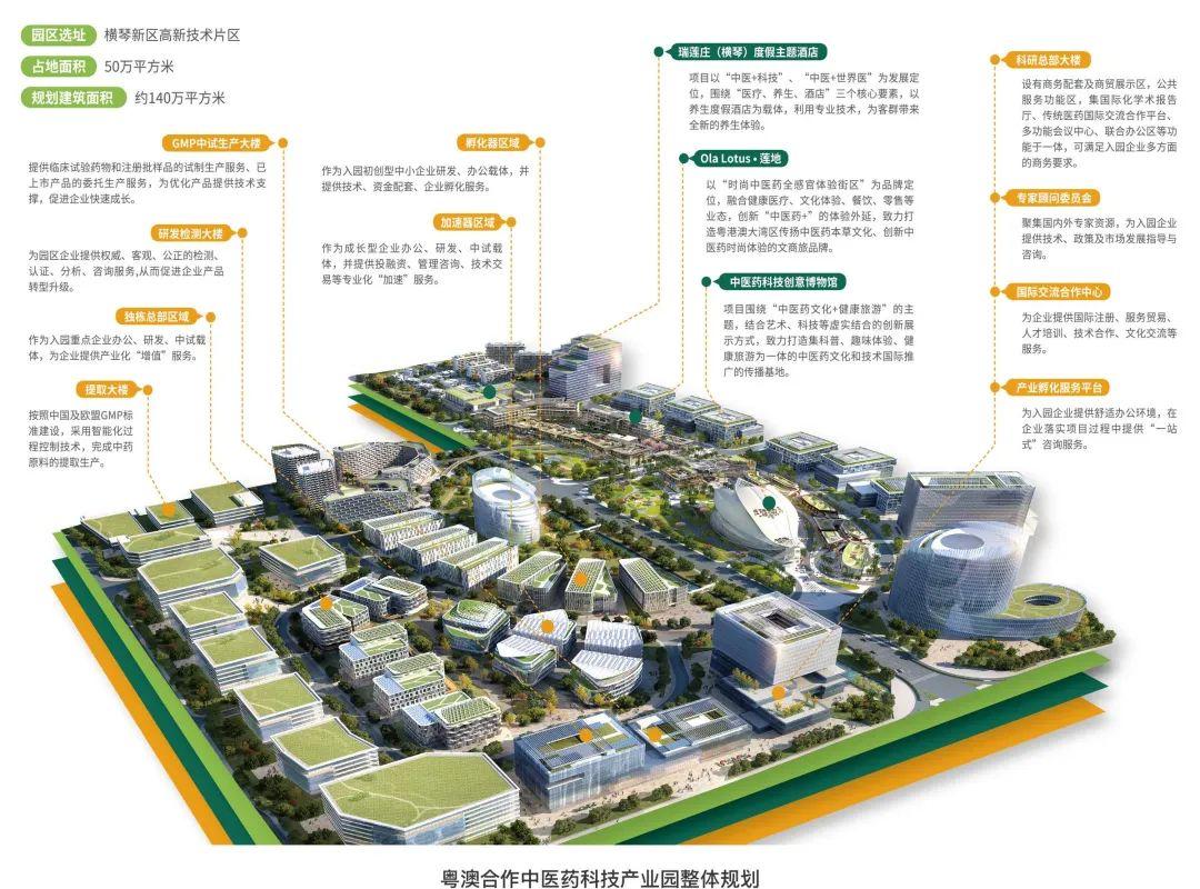 新澳门2025年正版免费公开|精选解析解释落实