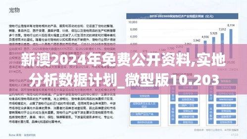 2025新澳今晚资料|全面释义解释落实